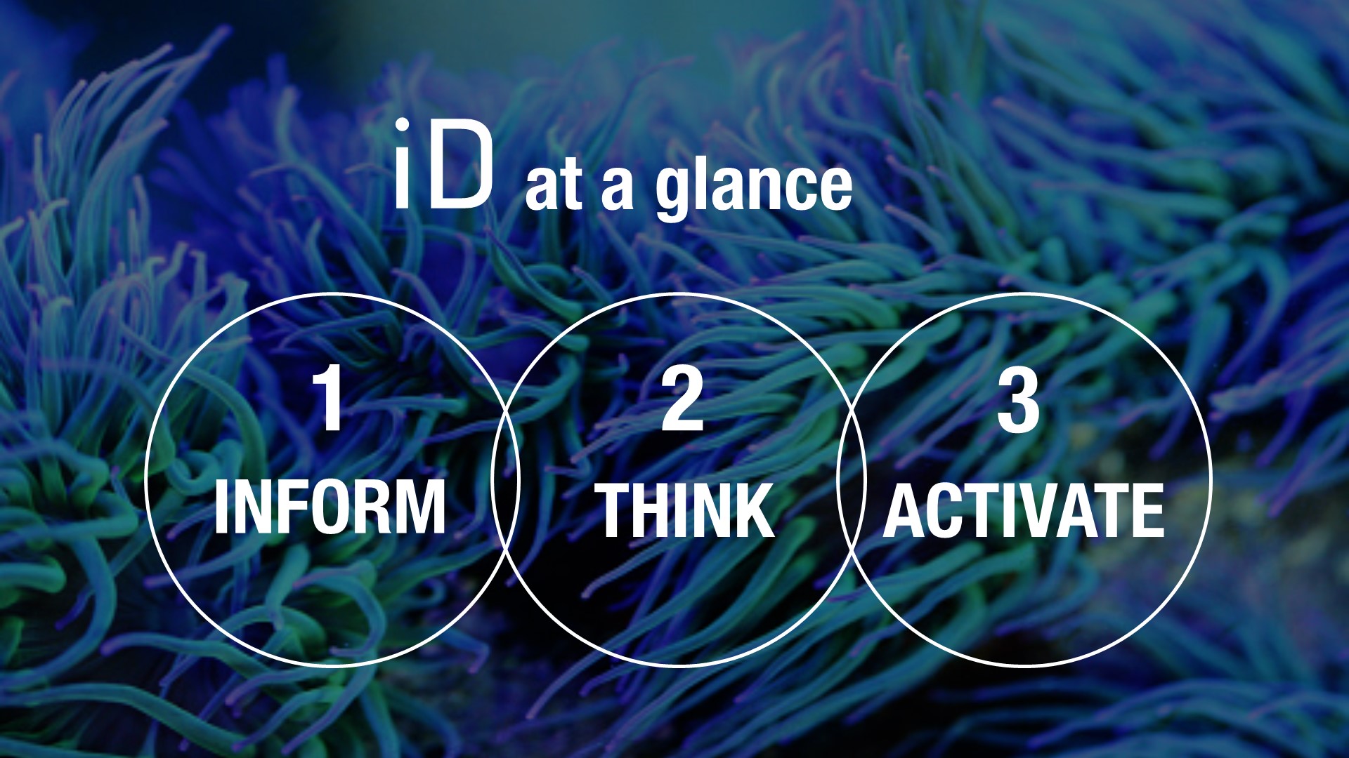 KMMS_Indicia_DATA Proposition_CD4